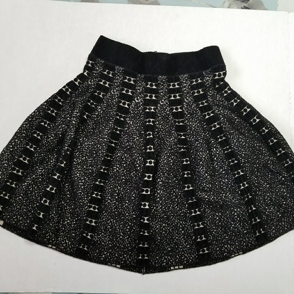 Moth Anthropologie EUC Granite Skater Skirt